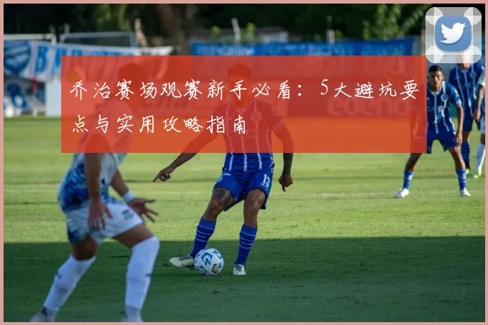 乔治赛场观赛新手必看：5大避坑要点与实用攻略指南